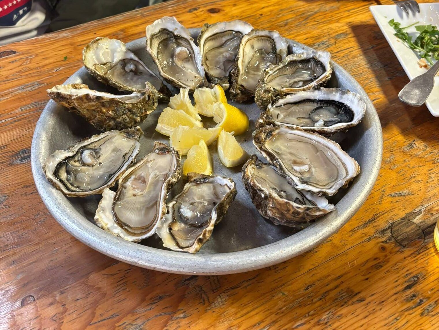 Oysters